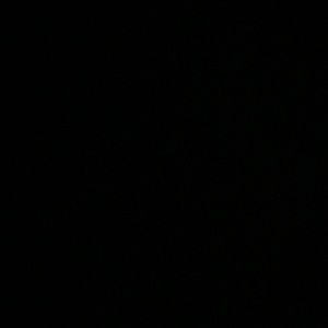 Meet your Posher, Esmeralda